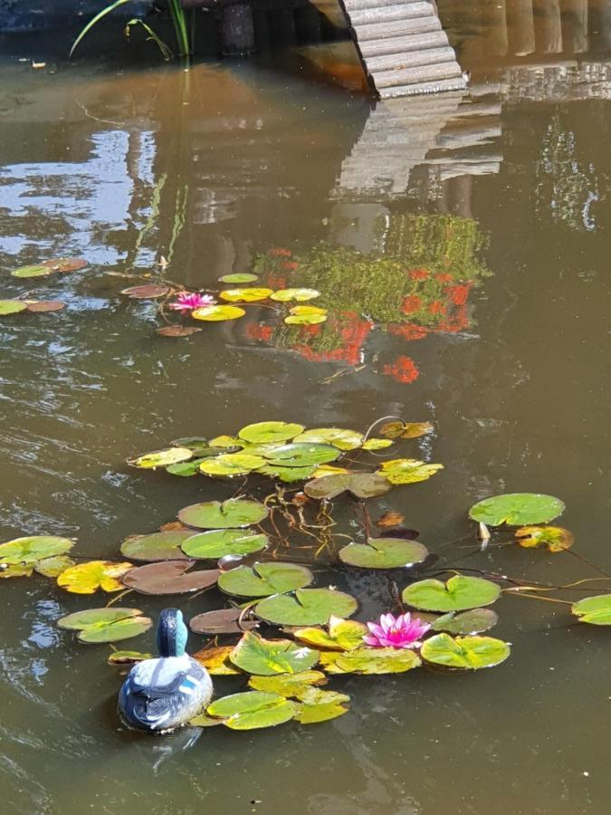 La Mare Aux Canards Sassetot-le-Mauconduit Exteriér fotografie